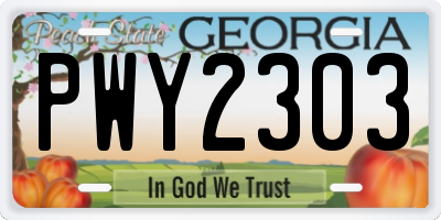 GA license plate PWY2303