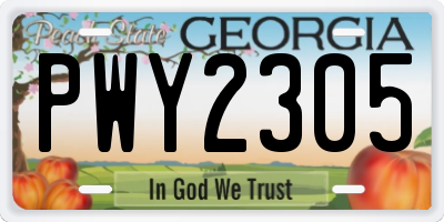 GA license plate PWY2305