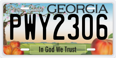 GA license plate PWY2306