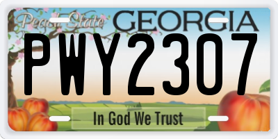 GA license plate PWY2307