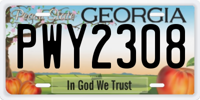 GA license plate PWY2308