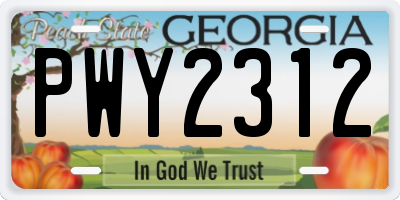 GA license plate PWY2312