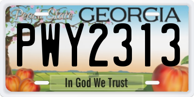 GA license plate PWY2313