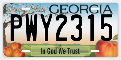 GA license plate PWY2315