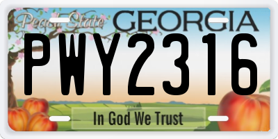 GA license plate PWY2316