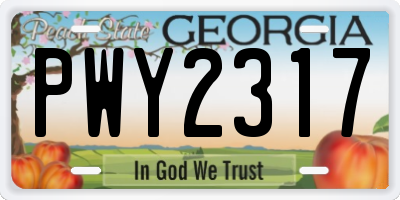 GA license plate PWY2317