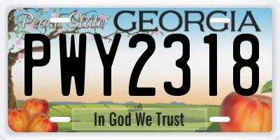 GA license plate PWY2318