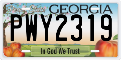 GA license plate PWY2319