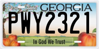 GA license plate PWY2321