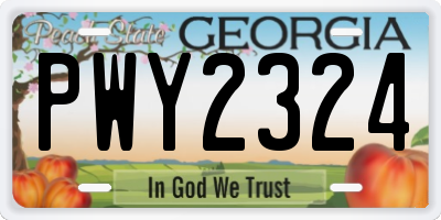 GA license plate PWY2324