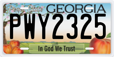 GA license plate PWY2325