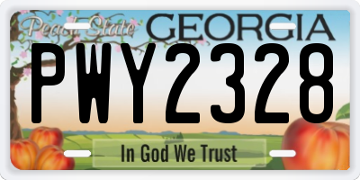 GA license plate PWY2328