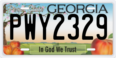 GA license plate PWY2329