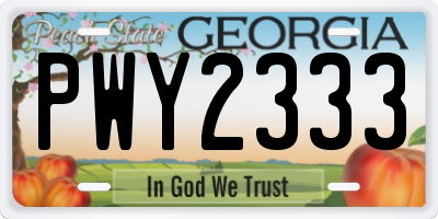 GA license plate PWY2333