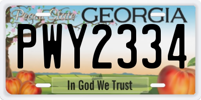 GA license plate PWY2334