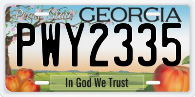 GA license plate PWY2335