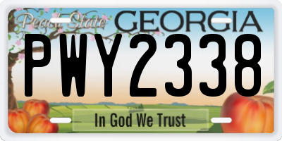 GA license plate PWY2338