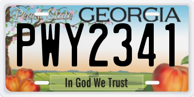 GA license plate PWY2341