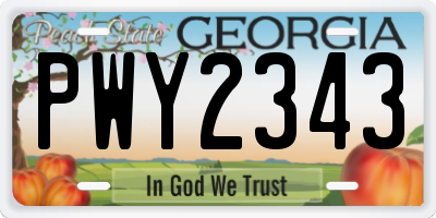 GA license plate PWY2343