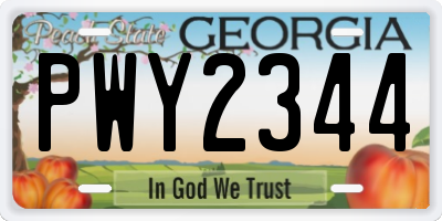 GA license plate PWY2344