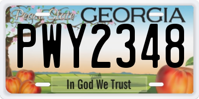 GA license plate PWY2348