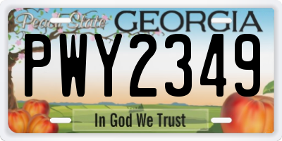 GA license plate PWY2349
