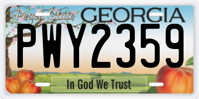 GA license plate PWY2359