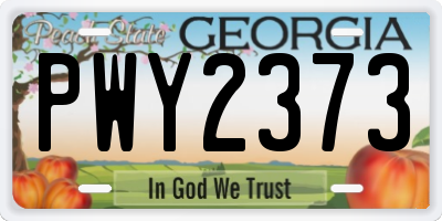 GA license plate PWY2373