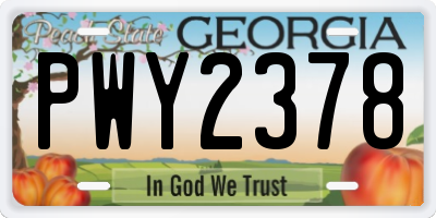 GA license plate PWY2378