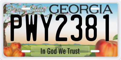 GA license plate PWY2381