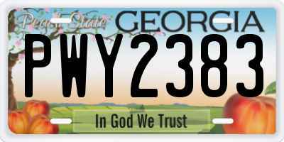 GA license plate PWY2383