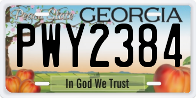 GA license plate PWY2384
