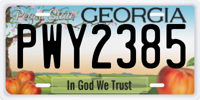 GA license plate PWY2385