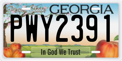 GA license plate PWY2391