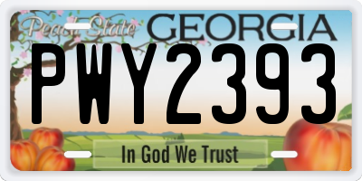 GA license plate PWY2393