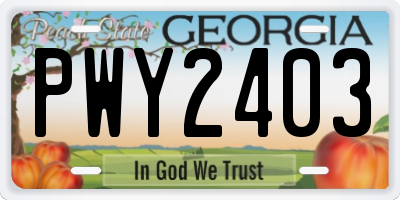 GA license plate PWY2403