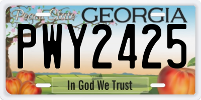GA license plate PWY2425