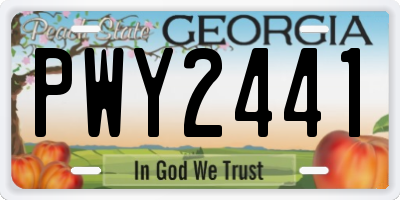GA license plate PWY2441