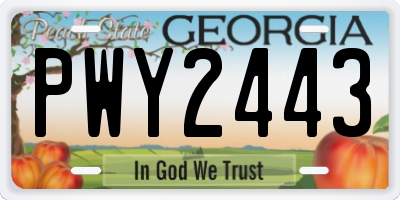 GA license plate PWY2443