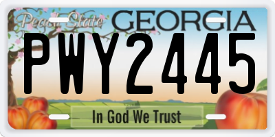 GA license plate PWY2445