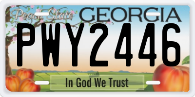 GA license plate PWY2446