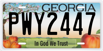 GA license plate PWY2447