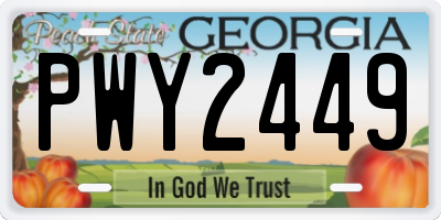 GA license plate PWY2449