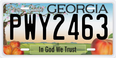 GA license plate PWY2463