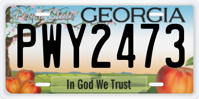 GA license plate PWY2473