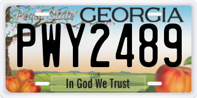GA license plate PWY2489