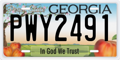 GA license plate PWY2491