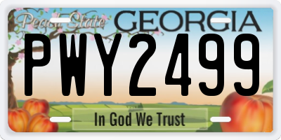 GA license plate PWY2499