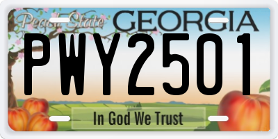 GA license plate PWY2501