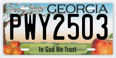 GA license plate PWY2503